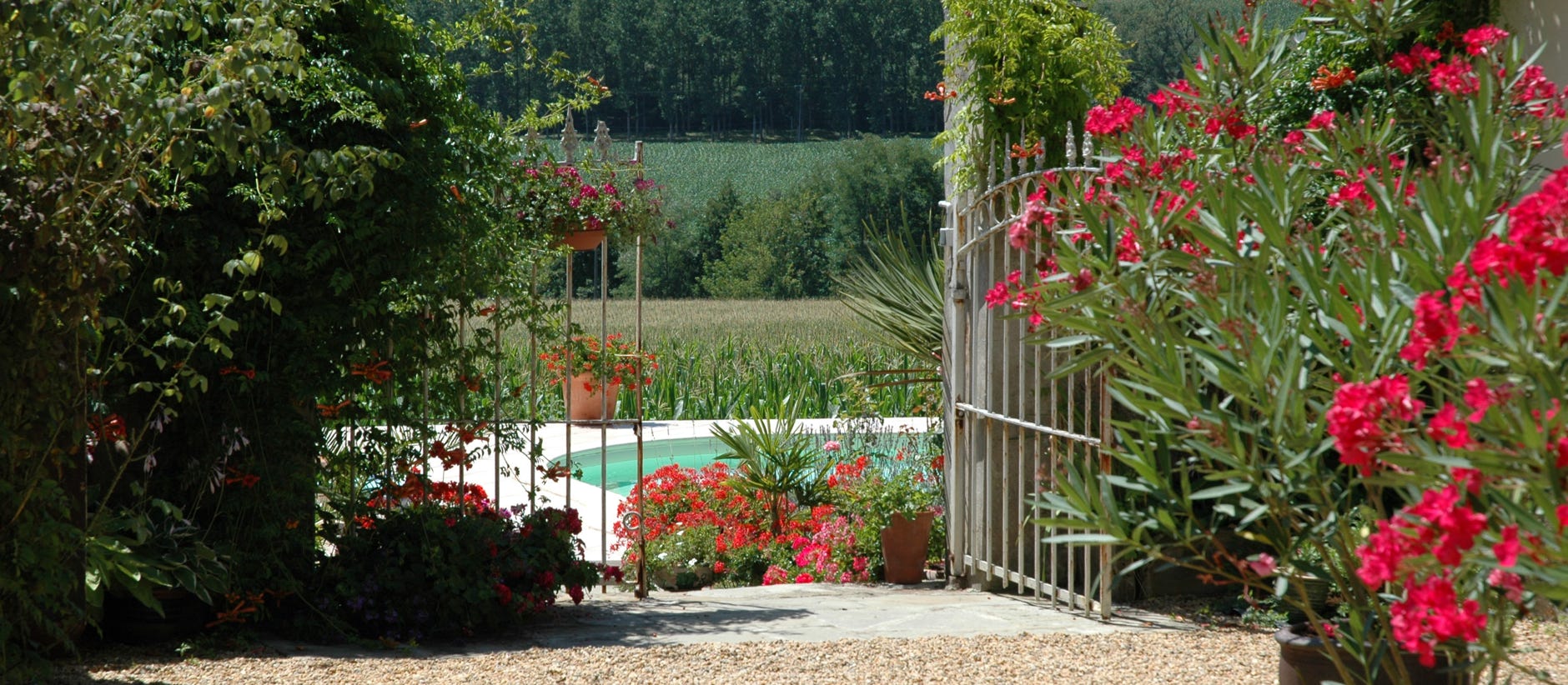 Vue de la piscine depuis la cour