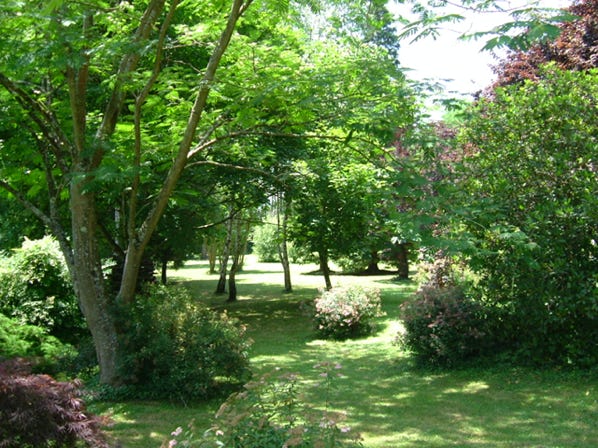 Extensive parkland and gardens